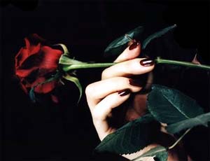 Roses and Thorns2.jpg